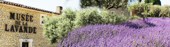Laden des Lavendelmuseums - Luberon provence