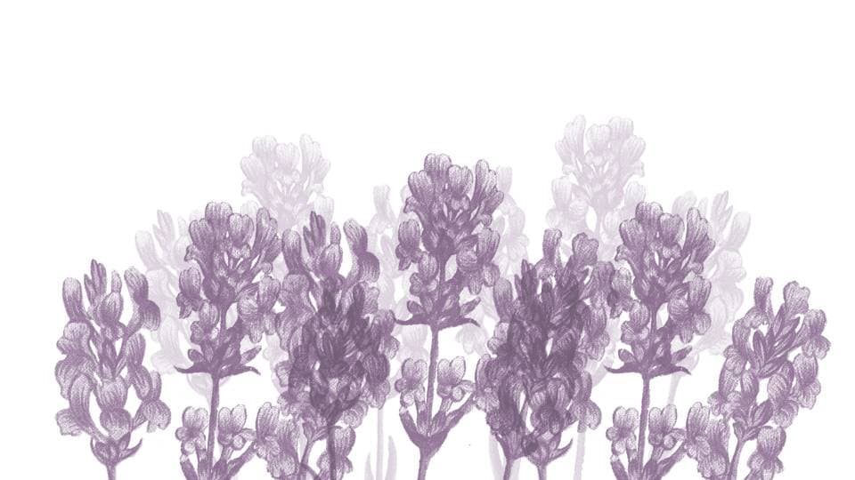 Lavendelwasser aus der Authentic 2019 -Kollektion